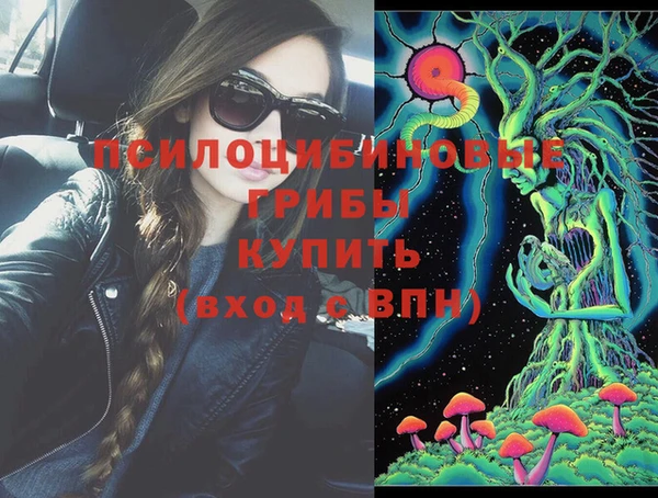 шишки Алзамай
