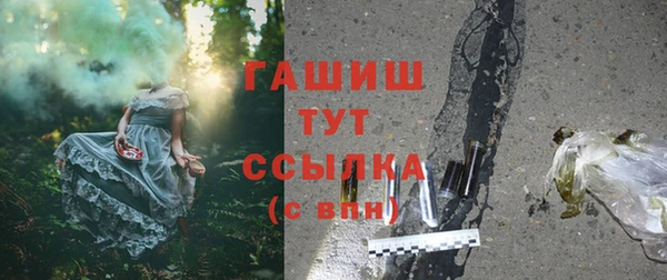 шишки Алзамай