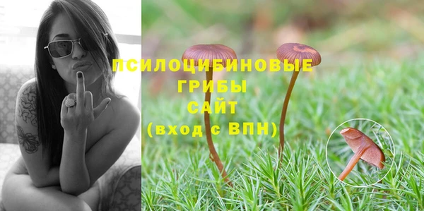 таблы Надым